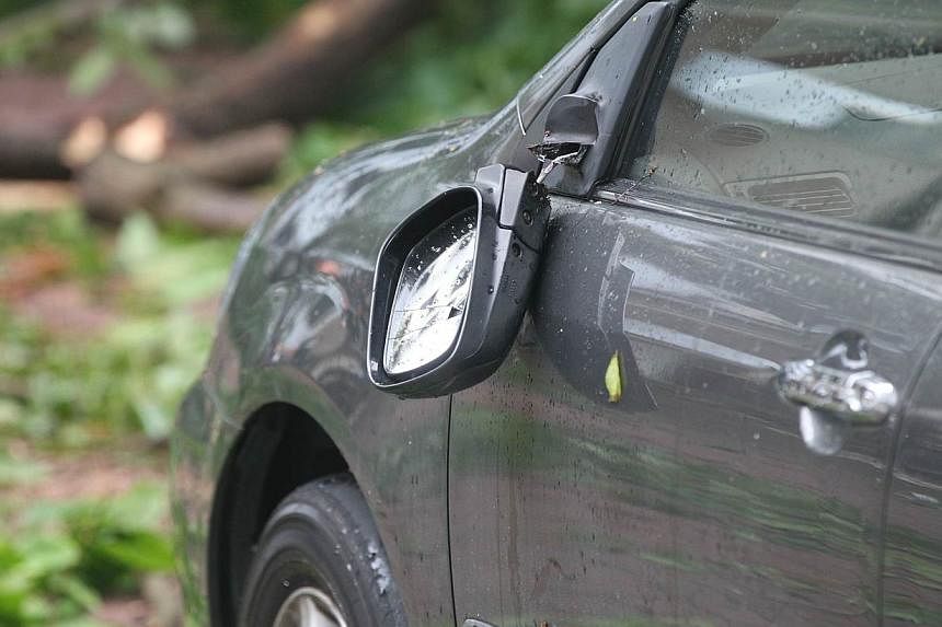 The car's sideview mirror was broken by the falling branch. -- PHOTO: SHIN MIN DAILY NEWS
