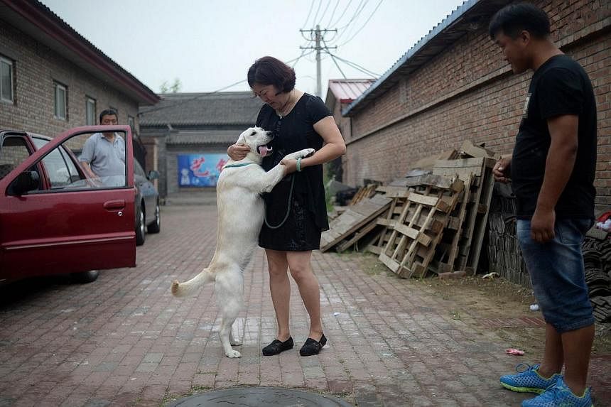 A woman holding her dog as she prepares to leave after sending her dog to a dog training school in Beijing on June 4, 2015. -- PHOTO: AFP