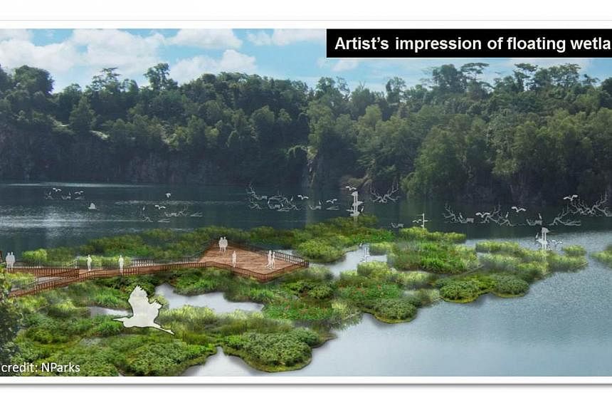 NParks will also be installing floating wetland units (artist's impression pictured) at the Pekan Quarry on Pulau Ubin. -- PHOTO: MNDSINGAPORE.WORDPRESS.COM