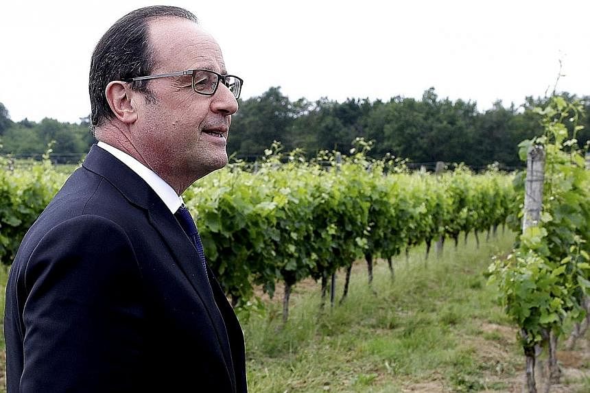 French President Francois Hollande stands in the Tutiac vineyard in Marcillac, France, after inaugurating the Bordeaux Vinexpo, the international wine and spirits exhibition on Saturday. -- PHOTO: REUTERS