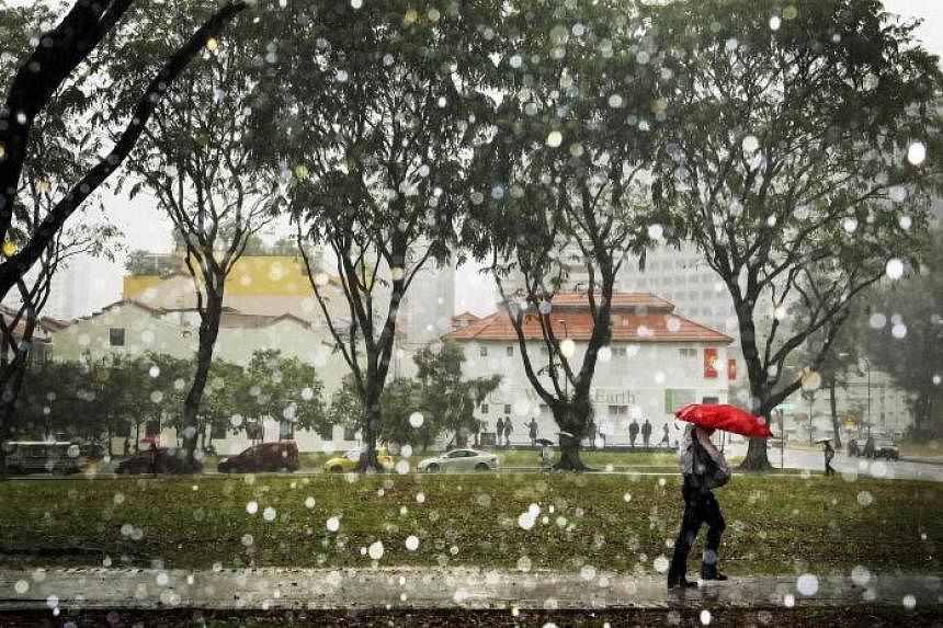 The National Environment Agency said in its latest weather forecast that short thundery showers are likely on three to five days in the next two weeks, mostly in the late morning and early afternoon. There could also be slightly hazy conditions on a 