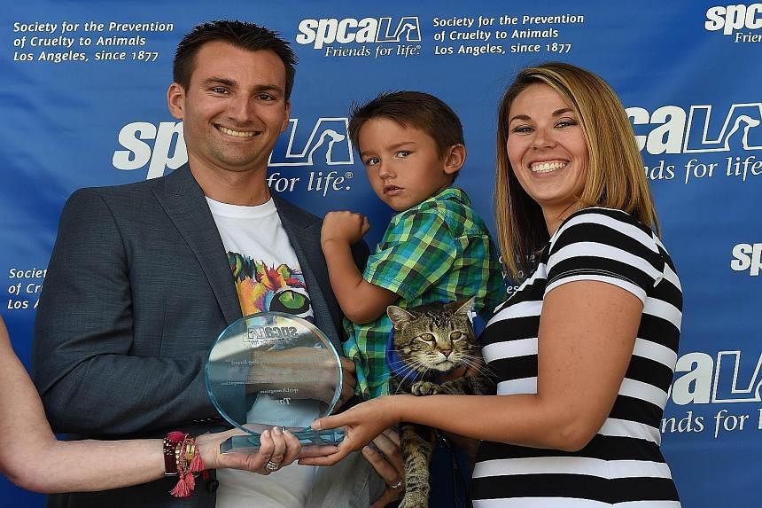 Mr Roger Triantafilo and his wife Erica with their son Jeremy and the family's hero Tara. The tabby has won recognition for its heroism after chasing off a dog which attacked Jeremy last year. Tara's bravery was captured on CCTV camera and the clip p