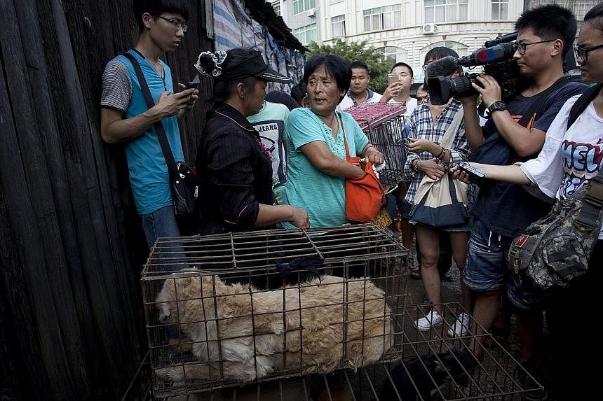 Ms Yang Xiaoyun (centre), 65, spent about 7,000 yuan buying 100 dogs at a market in Yulin on Saturday to save the animals. She plans to raise them in a farm. The locals believe dog meat is no different from pork and they should be free to enjoy their