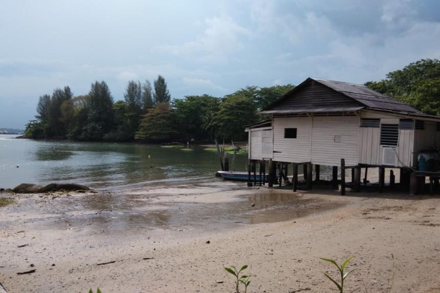 Revisiting Singapore's Pulau Ubin A lunch, a walk and a dog The