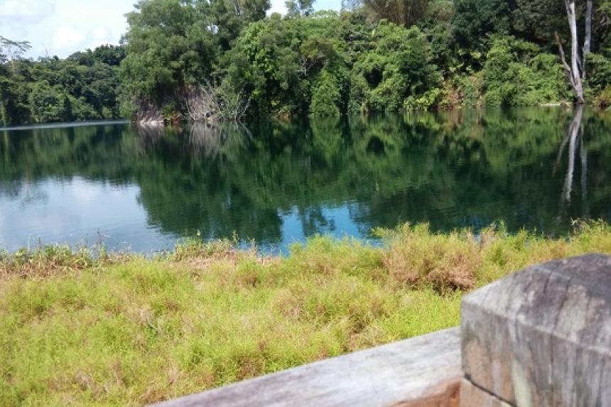 Revisiting Singapore's Pulau Ubin A lunch, a walk and a dog The