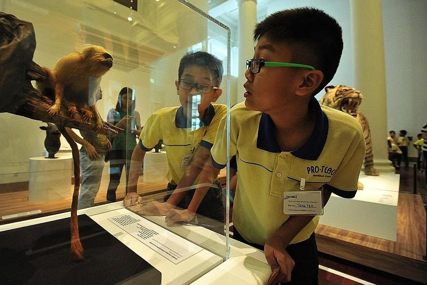 Interactive exhibits (above) at the Singapore Art Museum fascinate both children and adults alike, and Once Upon A Time In Asia: The Animal Race at the Asian Civilisations Museum features five real-life specimens, including a golden monkey (left).