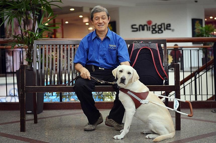 Mr Kua Cheng Hock, who was born blind, with Kendra, a labrador retriever. He succeeded in gaining acceptance for guide dogs in Singapore only on his second try. He repatriated his first dog after just two years.
