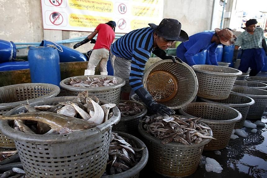 Workers unloading their catch after they stopped fishing operations at a port in Samut Sakhon province yesterday. The EU wants Thailand to crack down on illegal fishing or face a ban on fish exports.