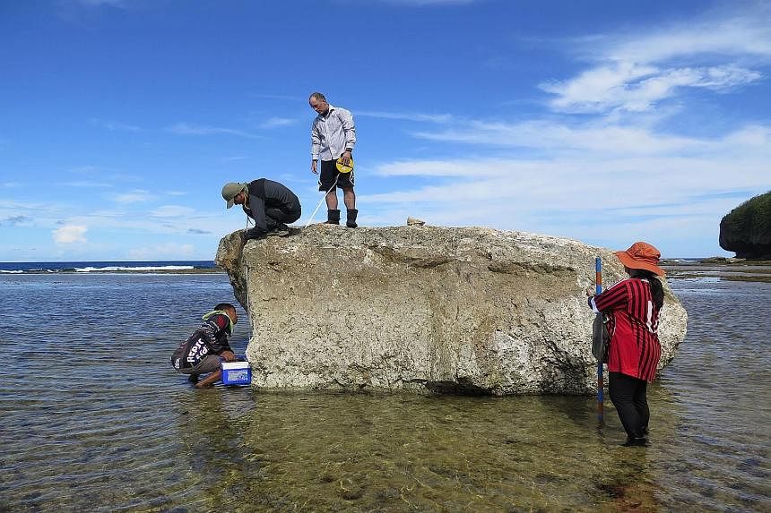 Prof Adam Switzer (third from left) measuring reef boulders.