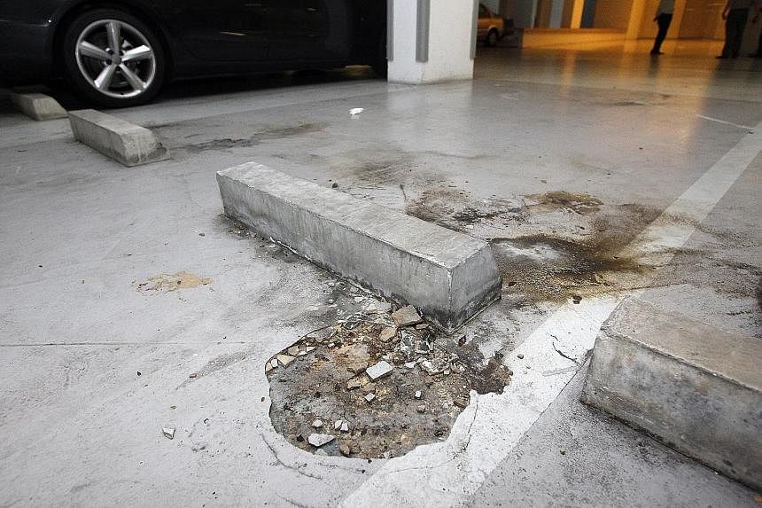 Mr Brian Selby (left), chairman of the condominium MC, said there are $32 million worth of defects in The Seaview. They include water seepage in the basement carpark (top) and a rotting wooden plank (above) in the pool deck area.