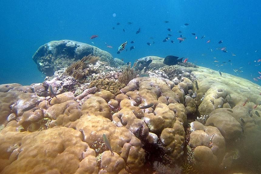 Rising sea levels and the loss of coral reefs would expose up to 4.6 per cent of the global population to inundation at a cost of up to 9.3 per cent of global GDP if fossil fuel use is not curbed, according to a study.