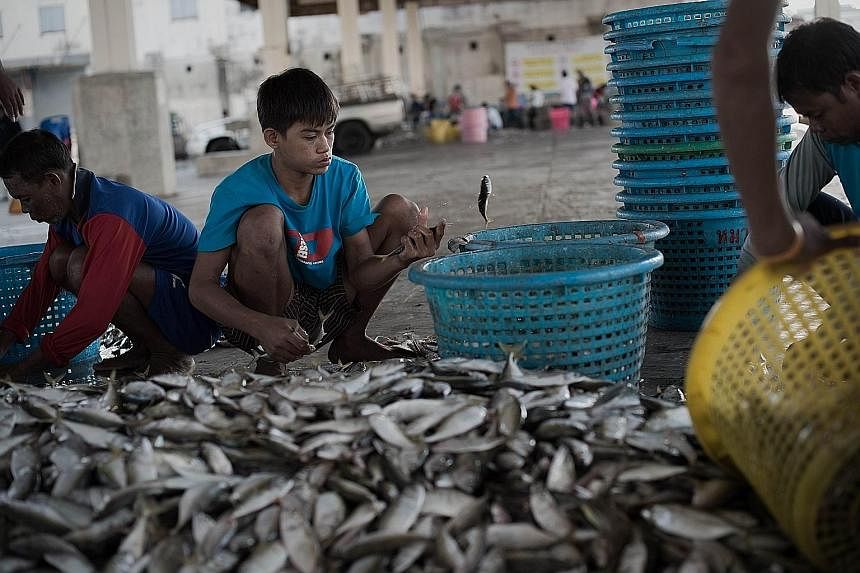 Migrant workers (above) sorting fish at a port in Mahachai, on the outskirts of Bangkok. Workers repairing fishing nets for trawlers (left) in Rayong province yesterday.