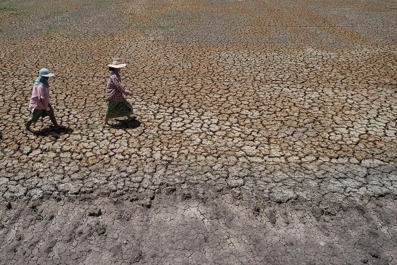 The current drought in Bang Pla Ma district, in Suphanburi province, is forcing impoverished Thai farmers deeper into debt and heaping fresh pain on an already weak economy.