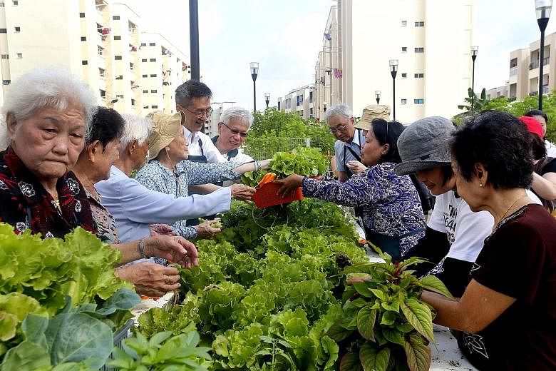 A garden gathering at Sky Garden at Jurong Central yesterday. The garden is designed to be elder- and wheelchair-friendly.