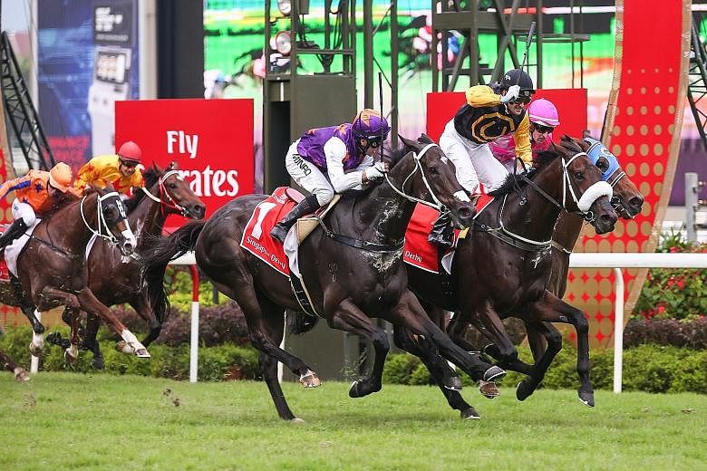Jockey Corey Brown (in yellow and black silks) salutes the Kranji crowd as Quechua is first past the post at the Emirates Singapore Derby.