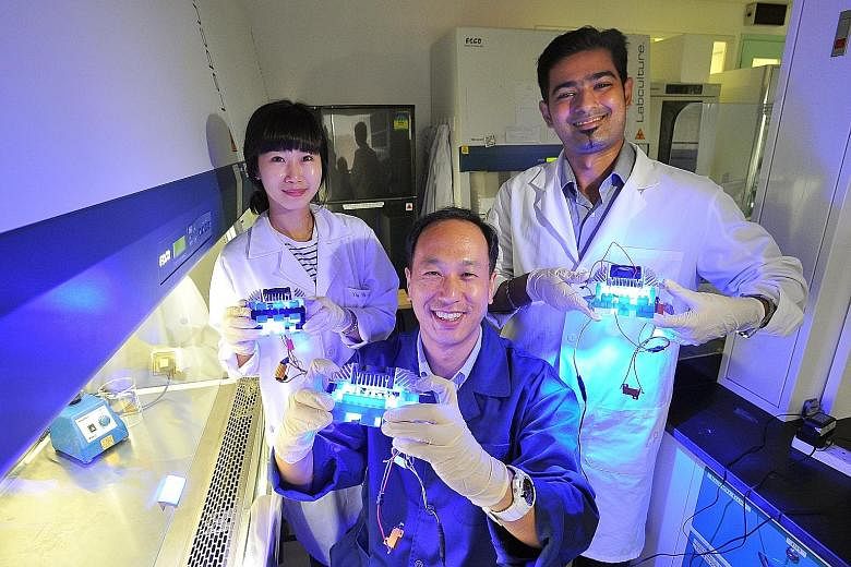 Dr Yuk Hyun Gyun (centre), with PhD students Kim Min Jeong, 28, and Vinayak Ghate, 26, showing the LED light boxes in their laboratory.