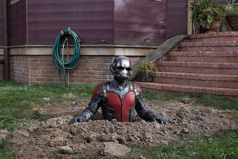 Hope van Dyne (played by Evangeline Lilly), the daughter of Ant-Man suit inventor Hank Pym, argues she should be the one to take over as the superhero.