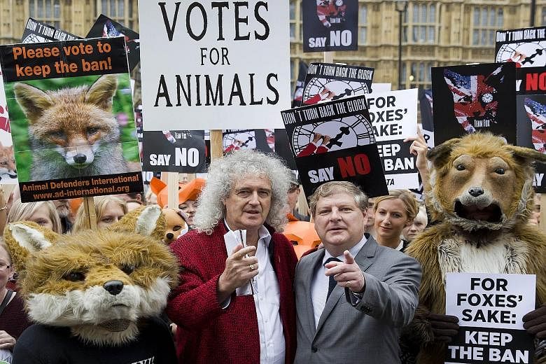 Queen guitarist Brian May (left) and Scottish National Party MP Angus Robertson at an anti-fox hunting rally in London yesterday. The British government has been forced into a dramatic climbdown after its plans to relax a ban on fox hunting were supp