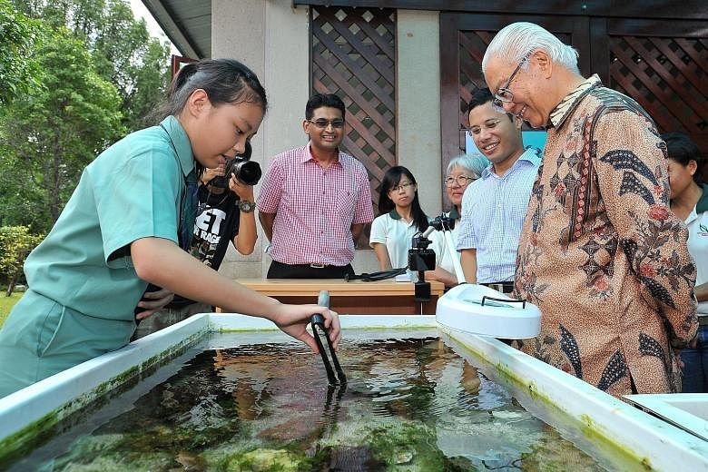 Sec 3 student Stephanie Aw (left), 15, from Ang Mo Kio Secondary School, pointing out a velcro crab (Camposcia retusa) to President Tony Tan, at the viewing pool of Sisters' Islands Marine Park Public Gallery yesterday. The 30 sq m gallery showcases 