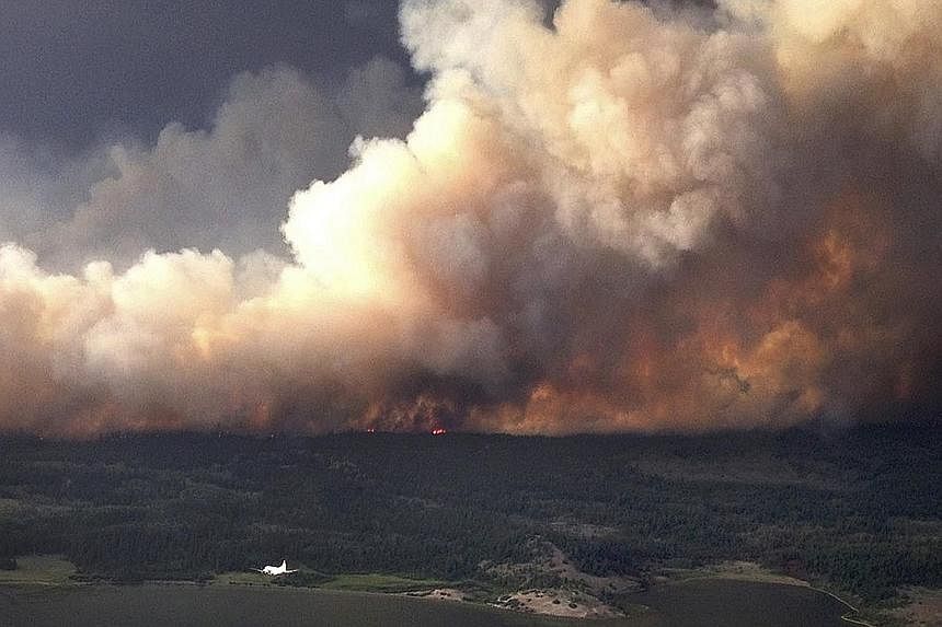 Smoke rising from a huge wildfire near Puntzi Lake in British Columbia (above), and a fireman spraying water on smouldering trees on Highway 11 in Alberta, Canada.