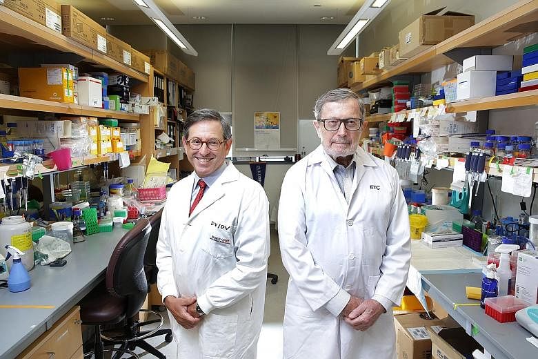 Professor David Virshup (far left) and Professor Alex Matter are the lead scientists working on a drug that holds out much hope for cancer patients.