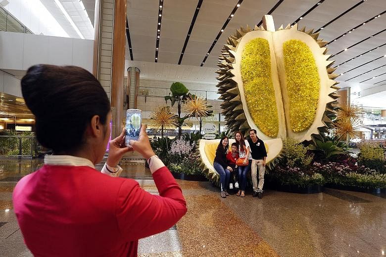 Visitors at Changi Airport posing in front of the 6m-tall durian topiary at Terminal 2. The giant-sized replica of the king of fruits is one of 50 attractions forming an SG50 trail that was launched yesterday. The trail features local icons, dishes a
