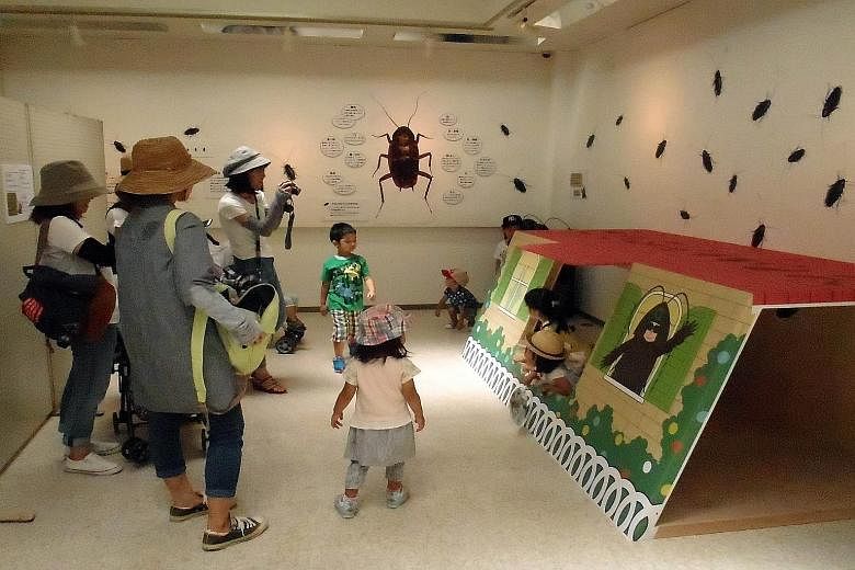 Visitors can have fun at a playhouse in the shape of a roach trap at the cockroach exhibition at Tokuyama Zoo in Japan.