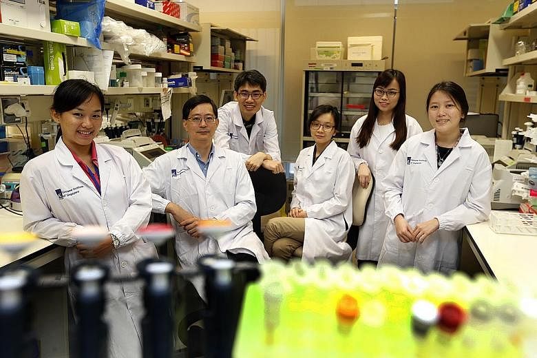 The A*Star team which made a breakthrough in stomach cancer research include (from left) Ms Lee-Lim Ai Ang, 29; Professor Patrick Tan, 46; Mr Ooi Wen Fong, 33; Dr Yao Xiao Sai, 31; Ms Xing Manjie, 27; Ms Joanna Koh, 20; all from the Genome Institute 