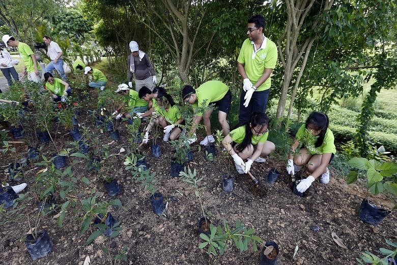 Students from Ang Mo Kio Secondary School were among the volunteers who helped to plant more than 300 shrubs of 15 different species in Bishan-Ang Mo Kio Park's butterfly habitat yesterday. With them is their school principal (third from right), Mr A