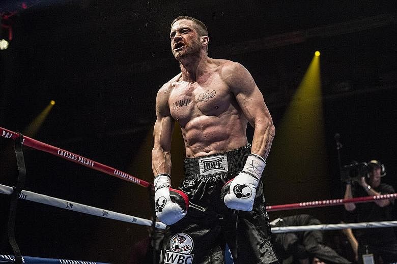 Jake Gyllenhaal's sculpted body in Southpaw shows he has done his homework. Boxing movies, with their unsentimental hitting wrapped in sentimental tales, are irresistible.