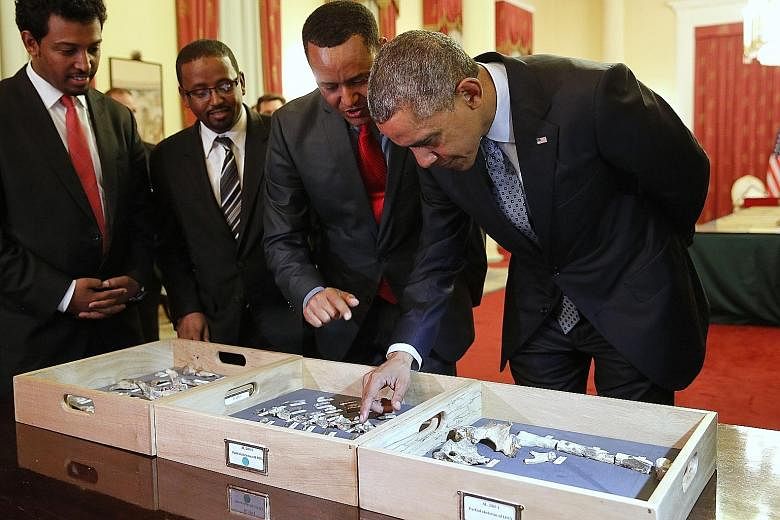 Dr Zeresenay Alemseged Lemseged of the California Academy of Sciences showing President Barack Obama the fossilised vertebra of Lucy, an early human, at the National Palace in Addis Ababa, Ethiopia. Lucy is the most famous fossil of the species Austr