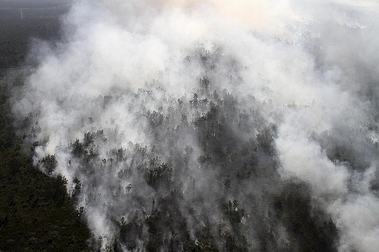 A forest fire in South Sumatra (above), seen from a helicopter belonging to Indonesia's National Disaster Management Agency. A firefighter (left) putting out a fire in Pekanbaru, Sumatra.