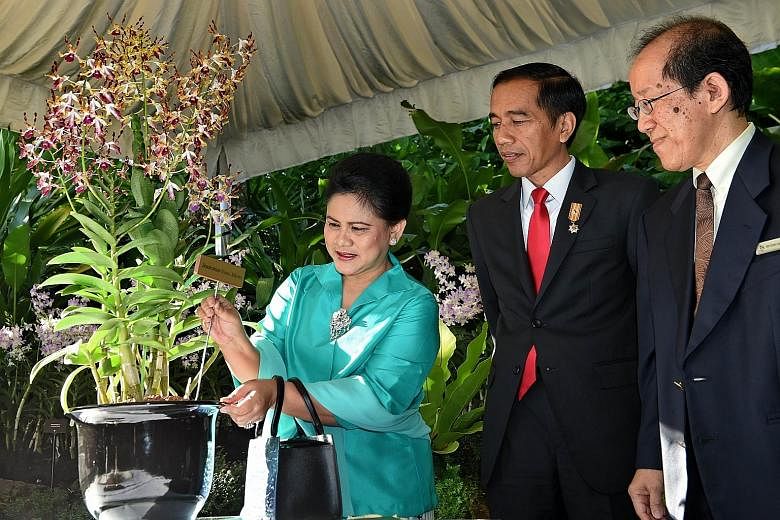 Indonesian President Joko Widodo and his wife Iriana with the Dendrobium Iriana Jokowi, an orchid named after them, during their visit to the National Orchid Garden yesterday morning. With them is National Parks Board deputy chief executive officer L