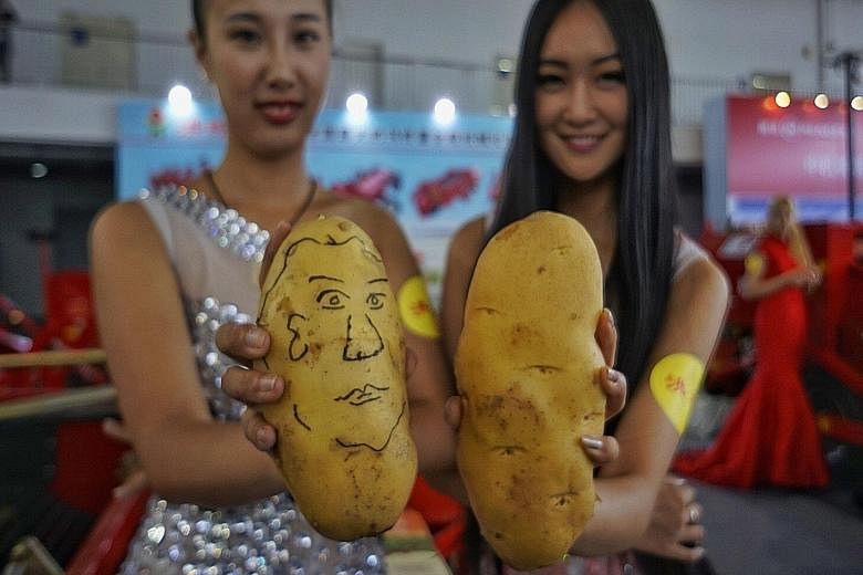 Exhibitors displaying potatoes at the World Potato Congress in Beijing. China has begun to promote the potato as a substitute foodstuff for grain.