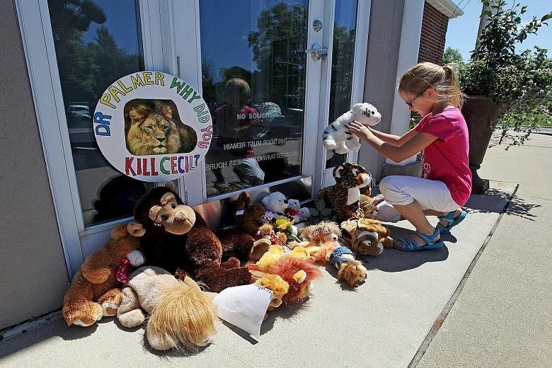 Resident Autumn Fuller, 10, leaving a stuffed animal in the doorway of Dr Walter Palmer's dental office near Minneapolis on Wednesday. Dr Palmer became a villain at the centre of a virtual firestorm over the ethics of big-game trophy hunting after he