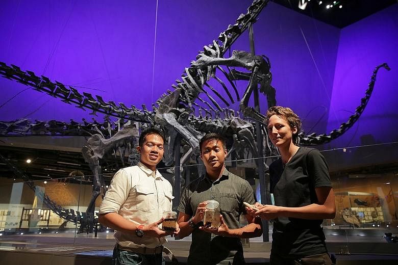 (From left) Mr Foo Maosheng, Mr Marcus Chua, and Ms Kate Pocklington are part of the team putting together the female sperm whale's remains for the Lee Kong Chian Natural History Museum. The whale measures 10.6m long and weighed between 8 and 10 tonn