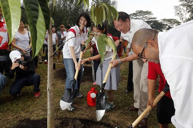Ms Sun Xueling at the tree-planting event with Deputy Prime Minister Teo Chee Hean (second from right) and MP Janil Puthucheary (right). Ms Sun, a potential PAP candidate, says it is up to the party to decide whether she contests the next general ele