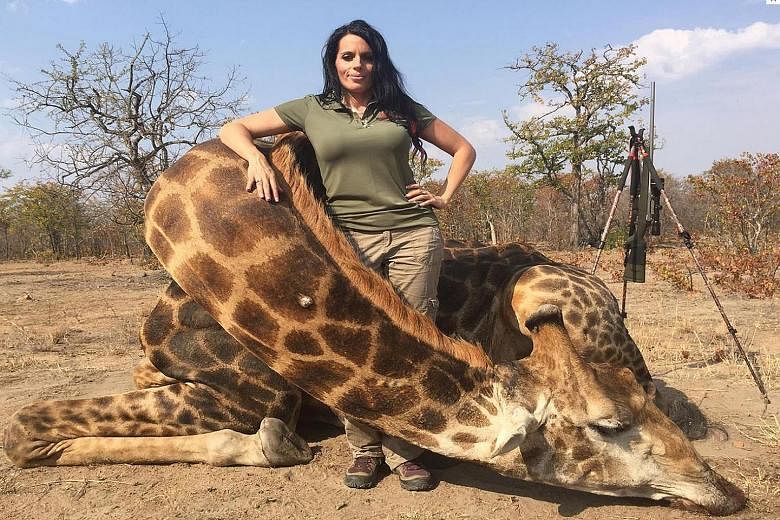 Also angering Internet users is American accountant Sabrina Corgatelli, seen here posing with a giraffe that she killed.