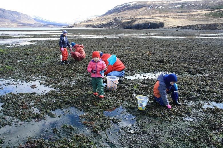 An Icelandic family foraging at Hvalfjordur (left); and members of the Reyka Expedition team preparing mussel soup for lunch (below).