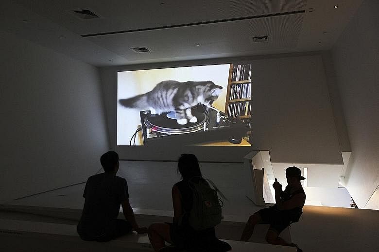 Vinyl Cat (2012, above) by Corbo. Images (left), videos and GIFs are part of the ongoing exhibition, How Cats Took Over The Internet, at the Museum of the Moving Image in New York.