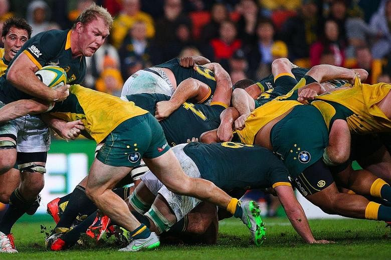 The Wallabies' scrum (yellow jerseys) is improving - just in time for Saturday's Bledisloe Cup match against world rugby champions, the New Zealand All Blacks.