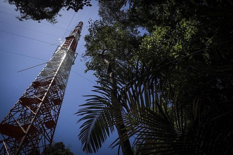 A 325m-high giant observation tower was set up in the heart of the Amazon to monitor climate change. The UN goal is to limit global warming to 2 deg C over pre-Industrial Revolution levels.