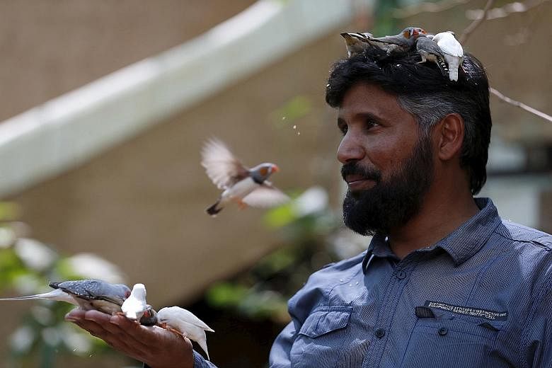 Abdulrahman Al-Sebai enjoying the company of his birds at his farm in the central Saudi Arabian province of Qassim. He keeps more than 500 birds as a hobby.