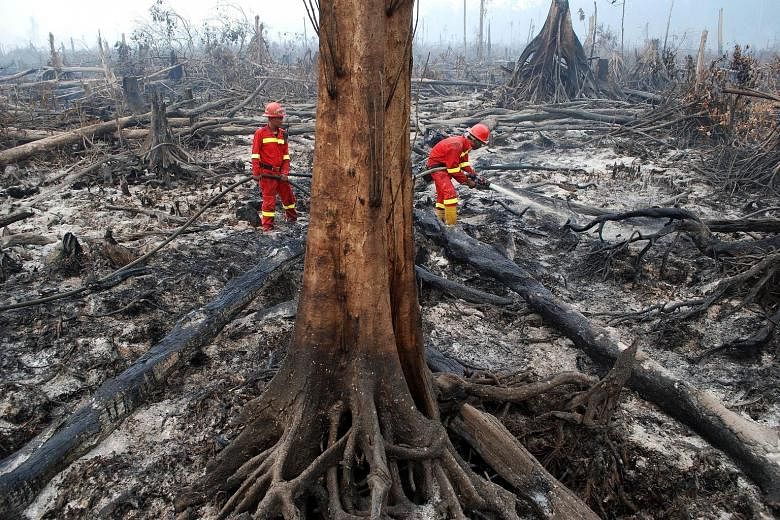Firefighters working to put out a blaze in Giam Siak Kecil biosphere reserve, home to rare and endangered species, in Riau on Thursday. Riau, given its proximity to Singapore and Malaysia, is the highest priority, said a deputy chairman from Indonesi