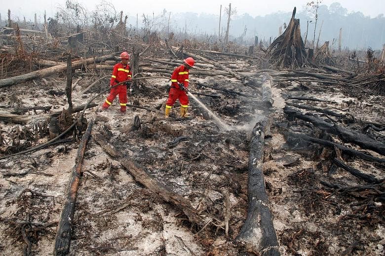 Firefighters putting out a fire in Riau province. Indonesia is struggling to fight forest fires in Sumatra and Kalimantan.