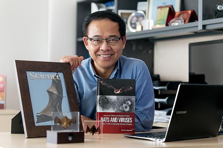 Prof Wang Linfa, director of the emerging infectious diseases programme at Duke-NUS, believes the book he co-edited that was released last week, on bats and their role in the transmission of viruses, is a key milestone since a similar one on this top