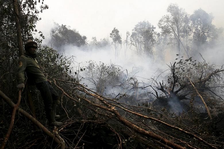 Indonesia Has Accepted Singapore S Offer To Help Fight Forest Fires In   Puloogan110915 