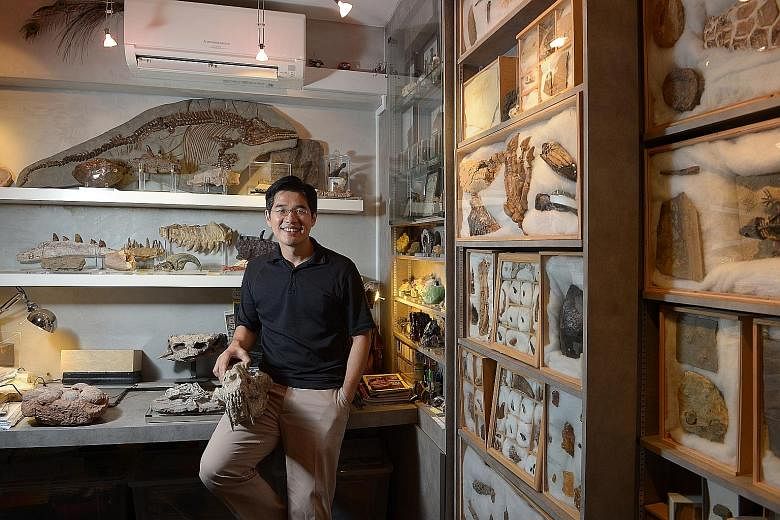 (From far left) Ms Ho Li Yah, Soh Zhi Bing and Mr Soh Kam Ying are a family united by their love for fossils. Avid collector Calvin Chu (above) keeps his collection of more than 1,000 fossils in a secret study behind three heavy bookcases in his home