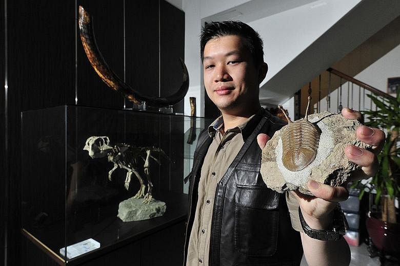 (From far left) Ms Ho Li Yah, Soh Zhi Bing and Mr Soh Kam Ying are a family united by their love for fossils. Avid collector Calvin Chu (above) keeps his collection of more than 1,000 fossils in a secret study behind three heavy bookcases in his home