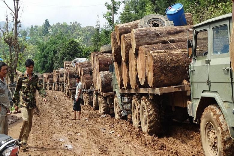 Trucks carrying timber at the Myanmar-China border. The Britain-based Environmental Investigation Agency says traders are decimating the forests of the restive Kachin state, in one of the largest cross-border illegal timber flows in the world amounti